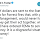 Image for article titled Trump Threatens to Cut off Federal Wildfire Aid to California in Ill-Informed, Typo-Laden Tweet